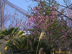b8efd4c0.jpg