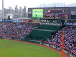 2008-09-05.jpg