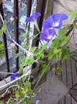 2008-09-07.jpg