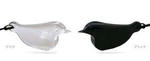 20080717_m_hato.JPG