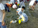 m_20080505263s.JPG