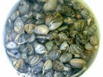 m_20080506265s.JPG