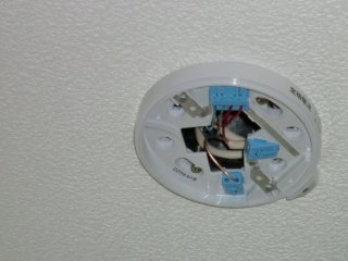 Cimg0354_s.jpg