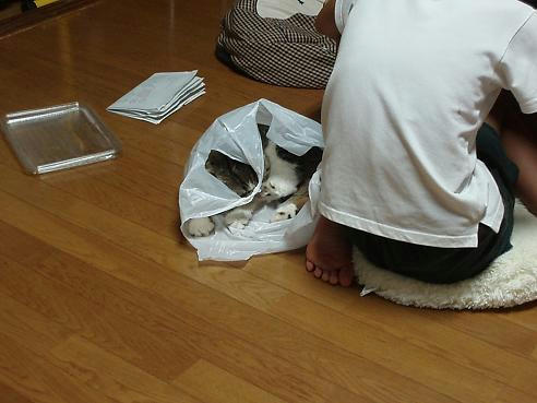 P9130059.JPG