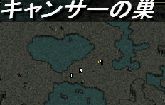 ｷｬﾝｻｰの巣