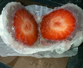 200803301136000.JPG