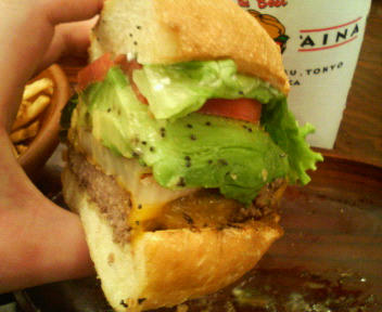 P1000238.JPG