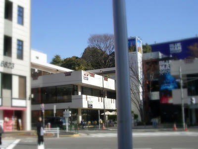 IMGP9821.JPG