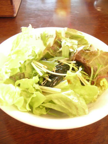 IMGP0520.JPG