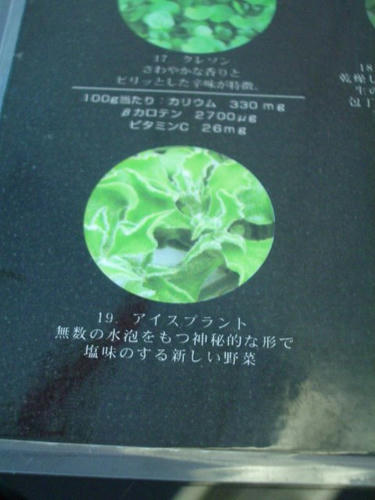 IMGP0068.JPG