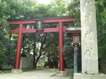CIMG3054-01.jpg