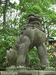 CIMG3065-01.jpg