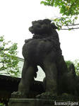 CIMG3070-01.jpg