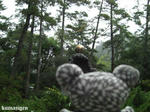 CIMG3109--01.jpg