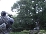 CIMG3113--01.jpg