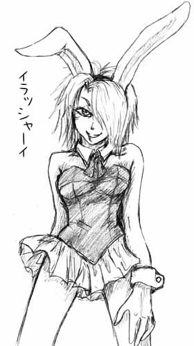 イラッシャーイ
