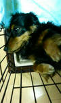 200806110004000.jpg