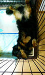 200806110003000.jpg