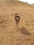 DSC04904.JPG