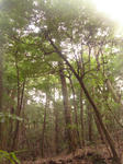 DSC04919.JPG