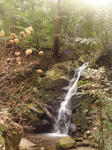 DSC04932.JPG