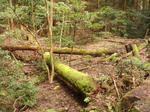 DSC04920.JPG