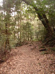 DSC04923.JPG