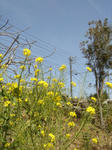 DSC05137.JPG