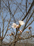 DSC05140.JPG
