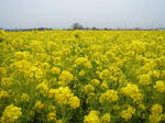 DSC001450.JPG