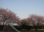 DSC05220.JPG