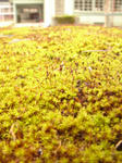 DSC05202.JPG