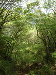 DSC05329.JPG