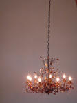 DSC05370.JPG