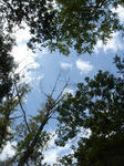DSC05477.JPG