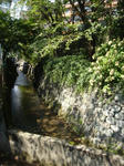 DSC05565.JPG