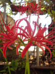 DSC05695.JPG