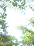 DSC05612.JPG