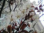PA0_0000.JPG