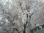 PA0_0002.JPG