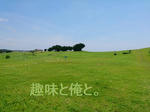 波乗り in 国府ノ浜