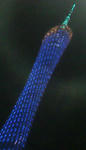 SNAP0042.jpg