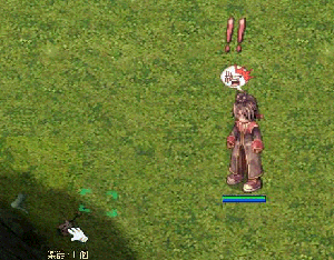 ro9.gif