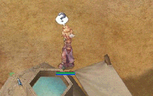 quest11.gif