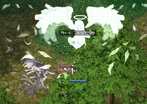ro29.gif