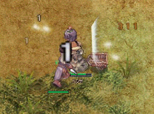 ro31.gif