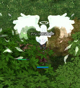 ro100.gif