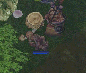 ro173.gif