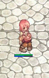 ro213.gif