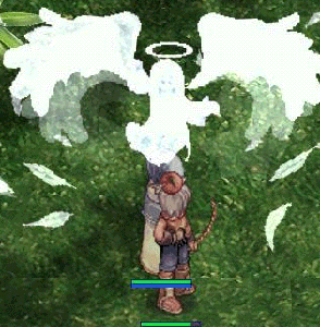 ro554.gif
